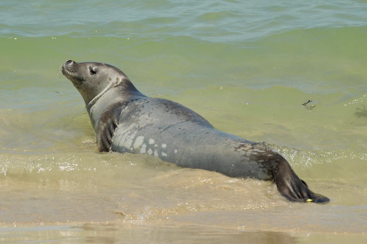 Don Marx 2026 02 20 at 11 58 08 1