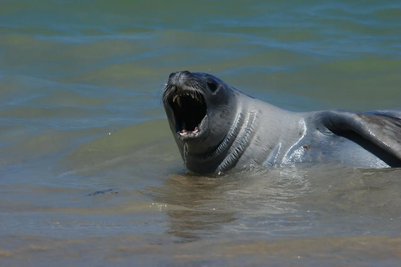 Whats App Image 2026 02 20 at 11 57 13 2