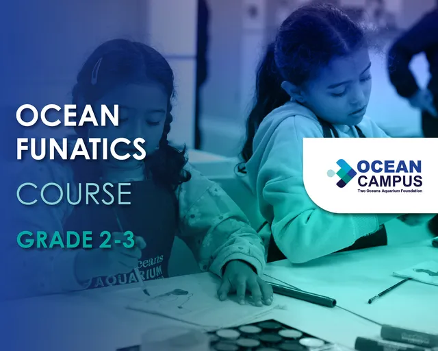 Grade 2 - 3 Ocean Funatics Course