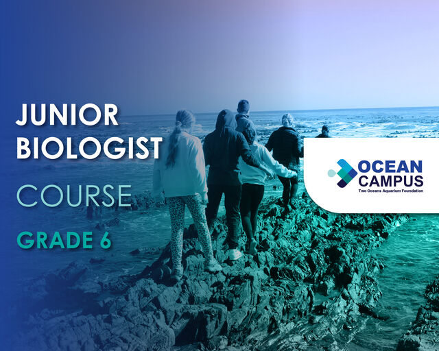Grade 6 Junior Biologist Course