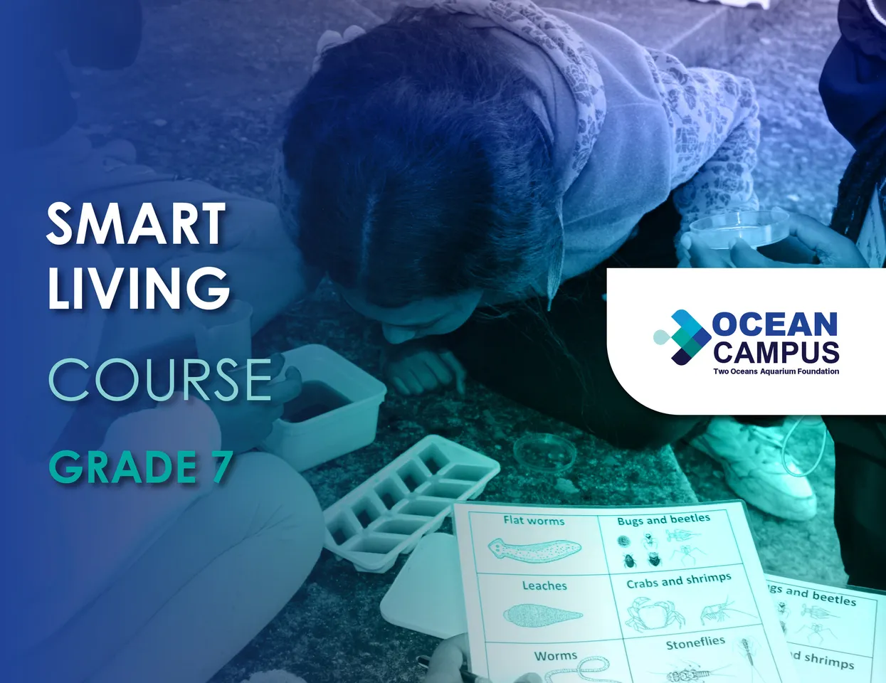 Grade 7 Smart Living Course
