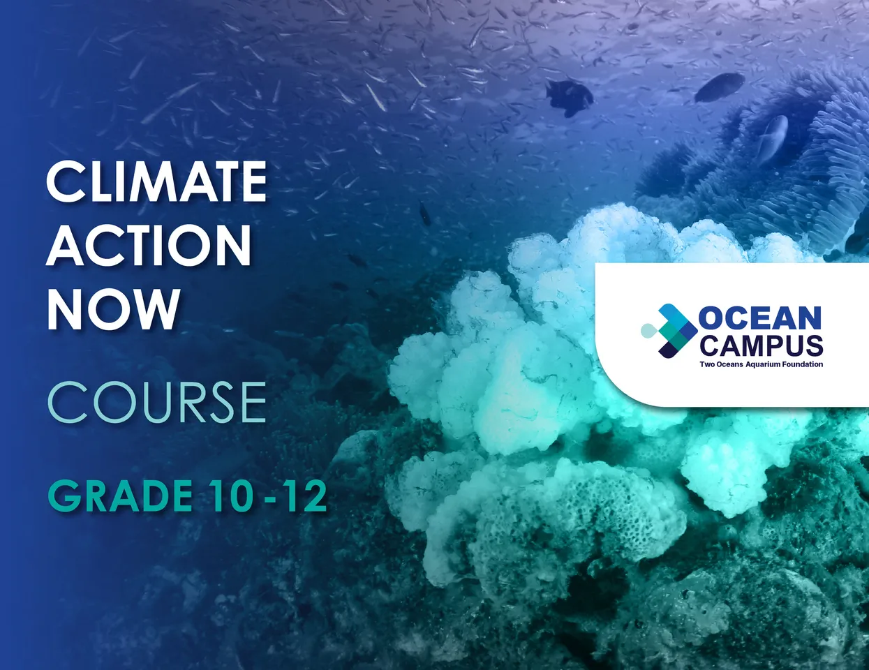 Grade 10 - 12 Climate Action Now course