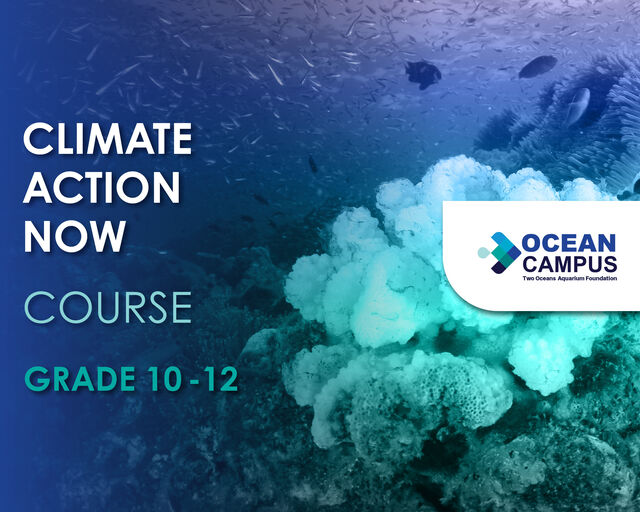 Grade 10 - 12 Climate Action Now course