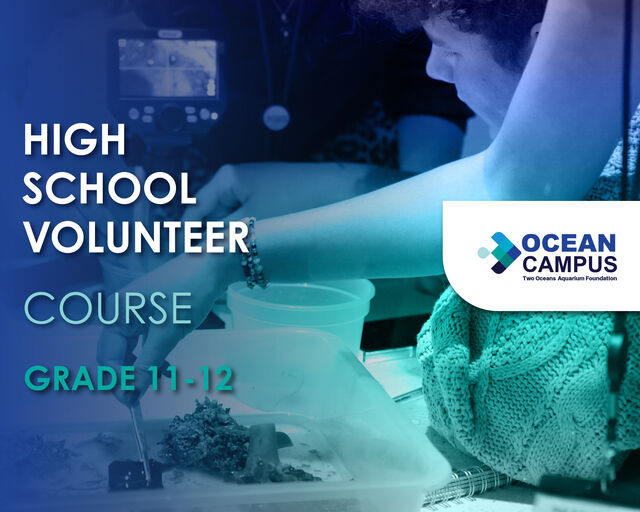 High School Volunteer Course
