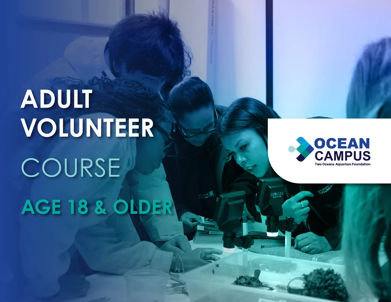 Adult Volunteer Course