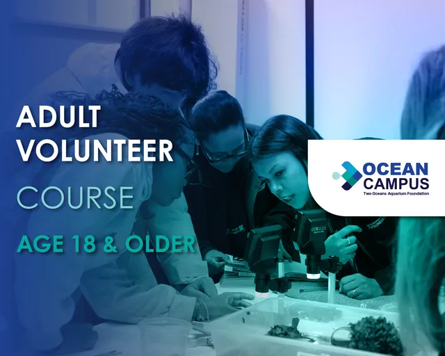 Adult Volunteer Course