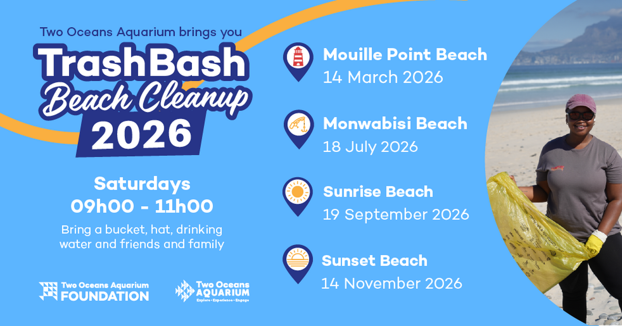 Trash Bash yearplan ad