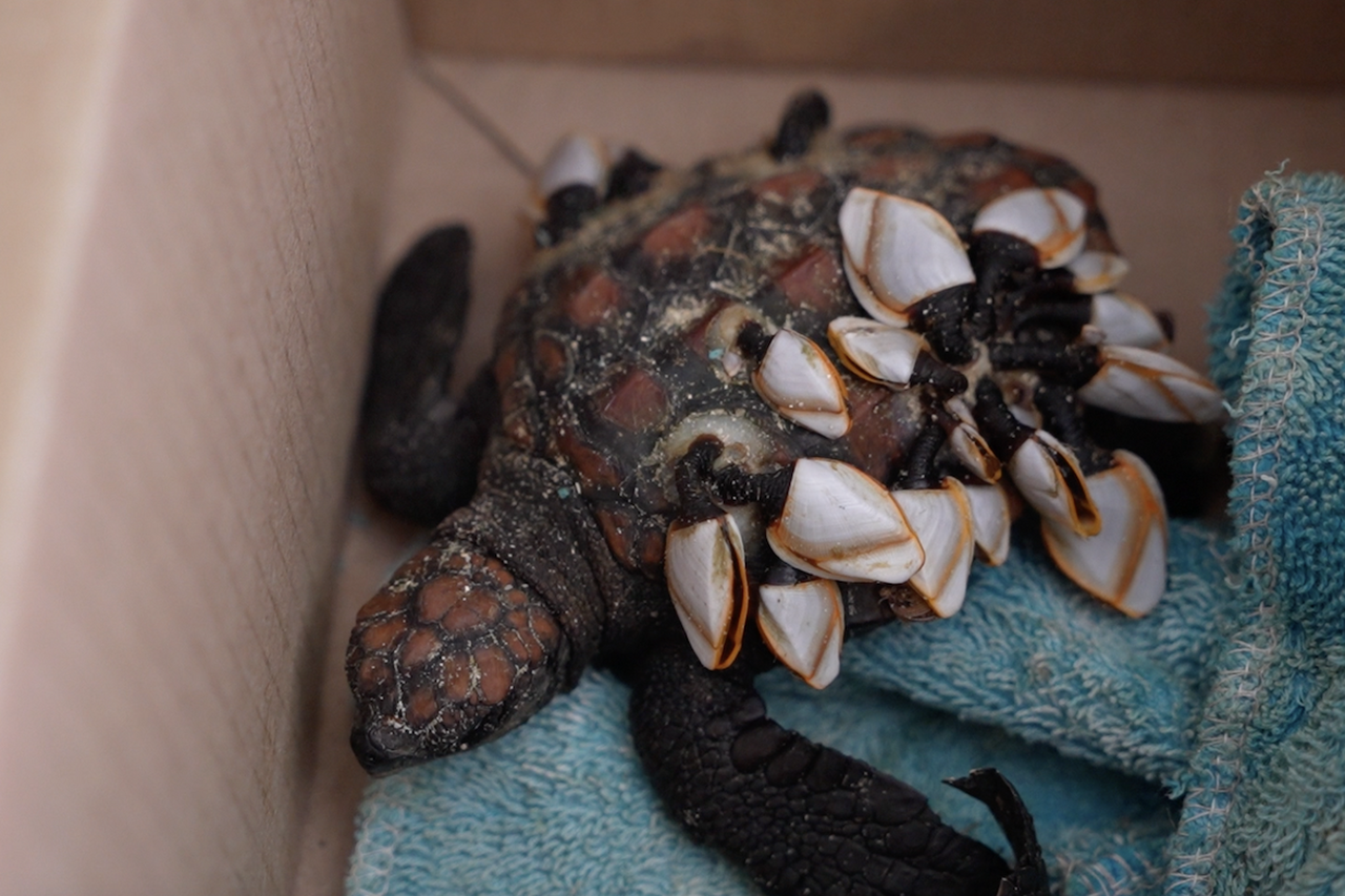 Screenshot 2024 04 30 at 17 18 20