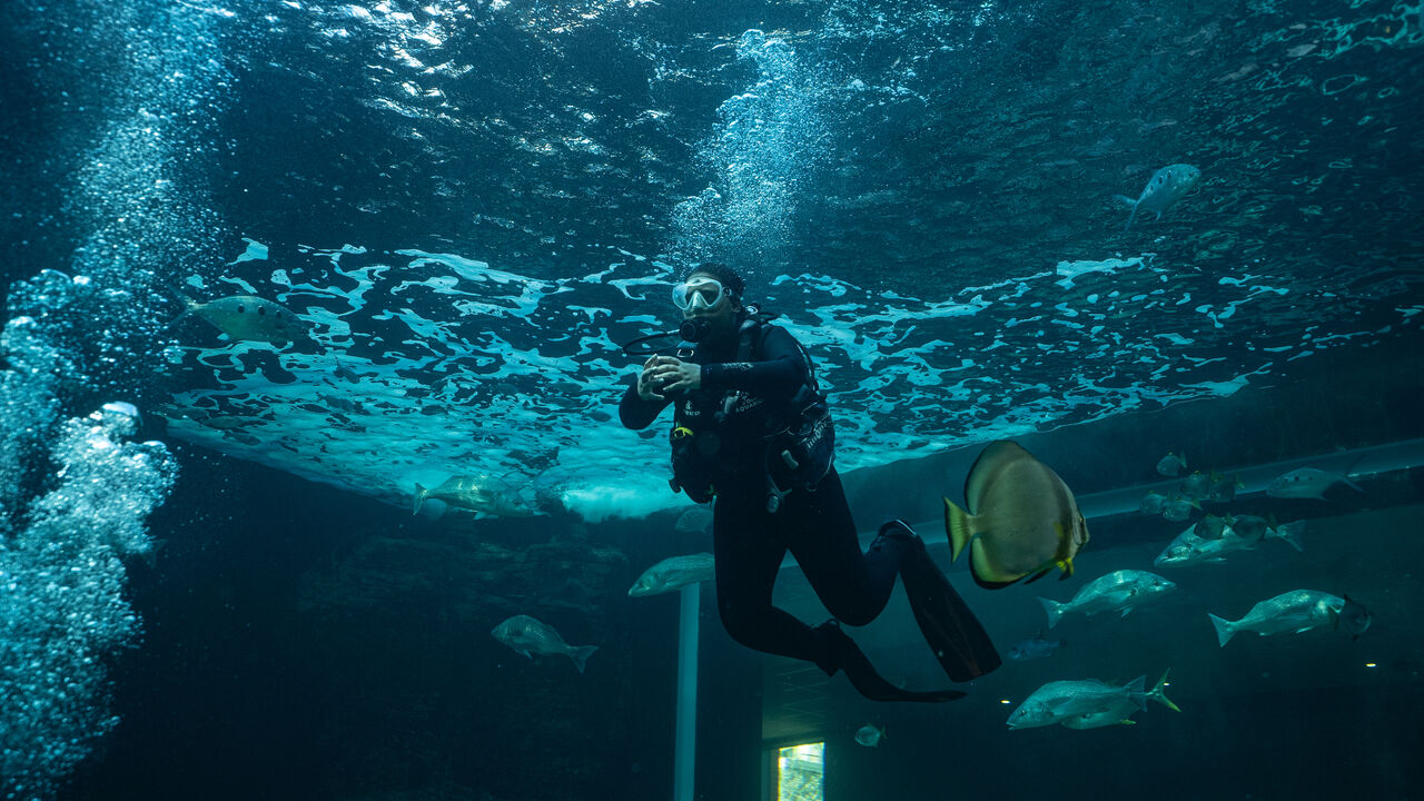 PADI Discover Scuba Diving Experience