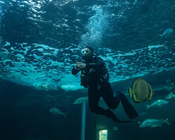 PADI Discover Scuba Diving Experience