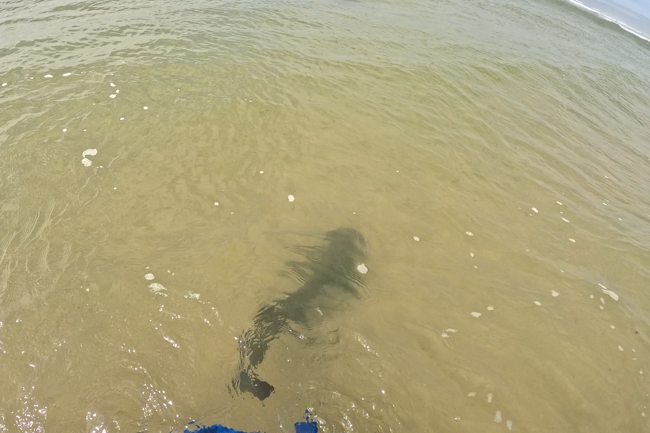 Screenshot 2026 03 03 131824