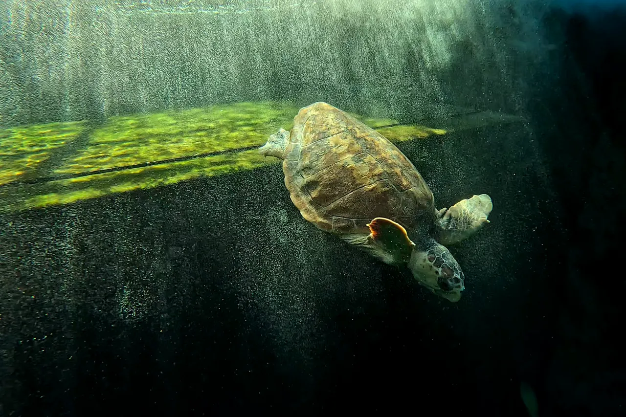 Screenshot 2026 03 10 101924