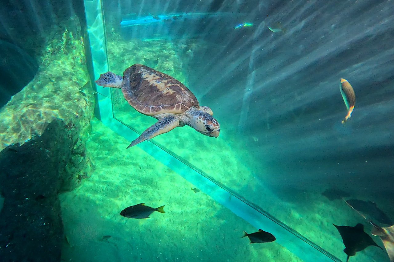 Screenshot 2026 03 10 100602