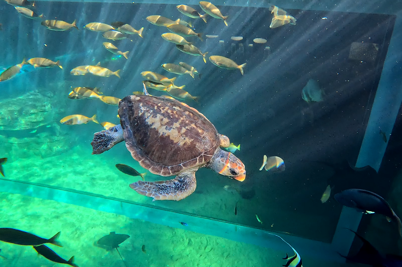 Screenshot 2026 03 10 100940