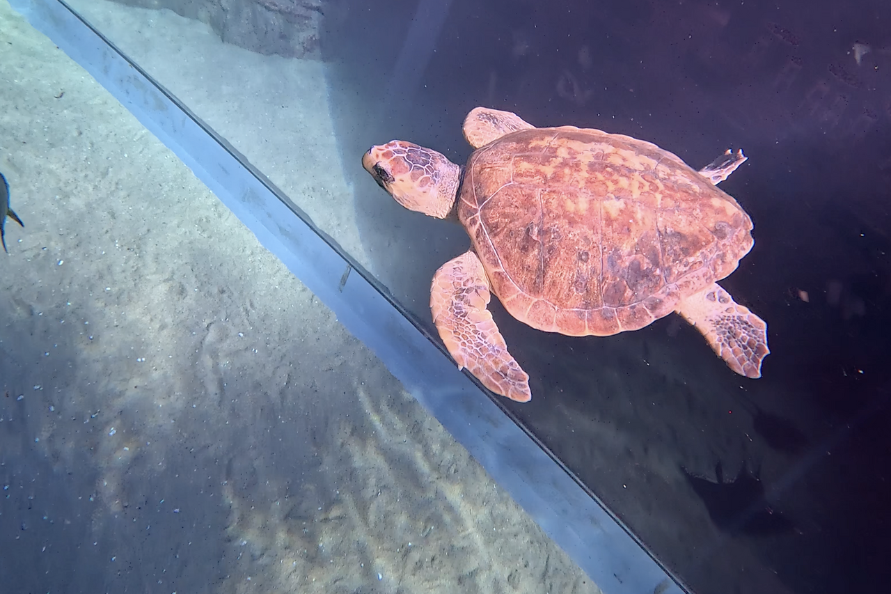 Screenshot 2026 03 10 at 15 40 42