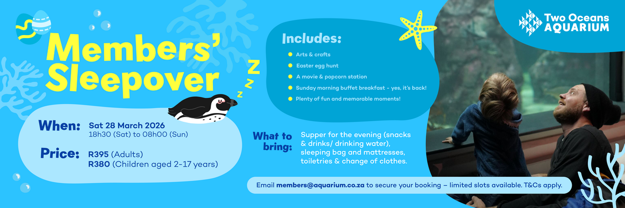 Social Banner Penguin M Sleepover