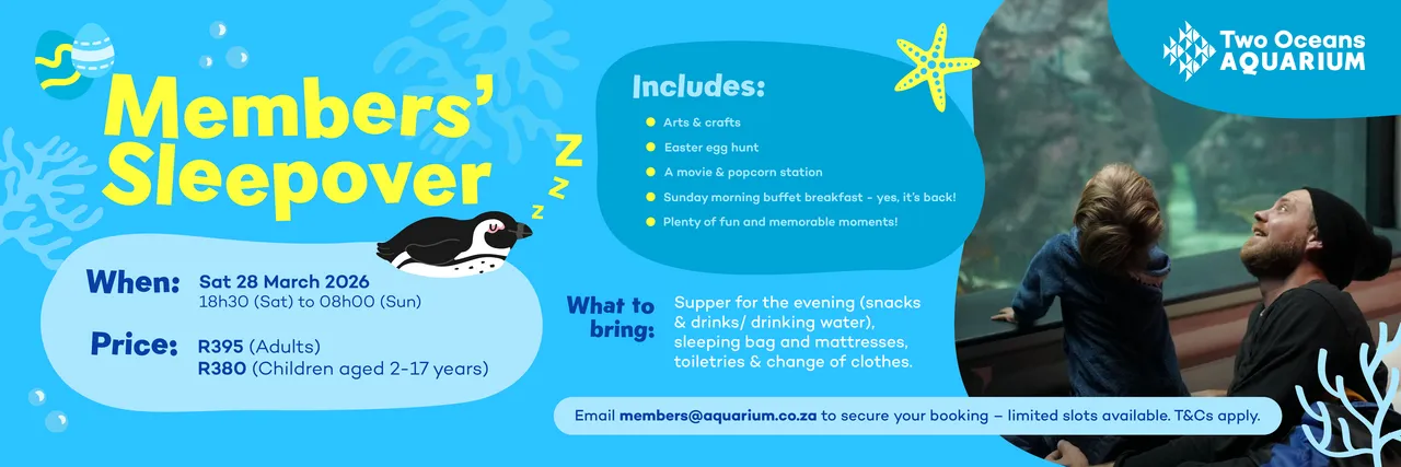 Social Banner Penguin M Sleepover