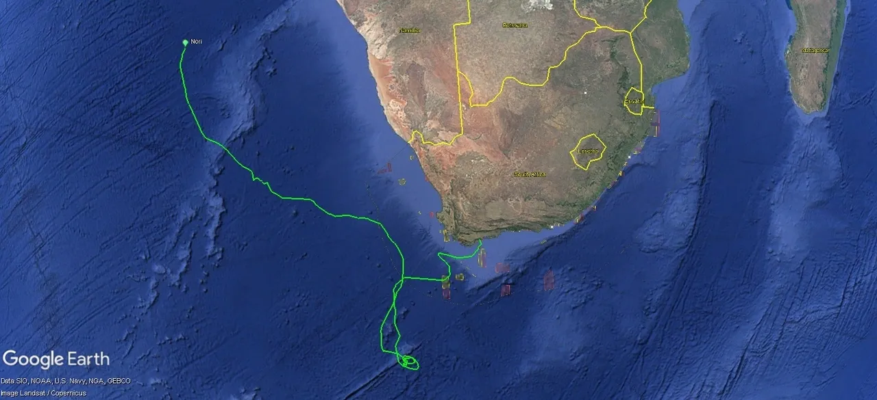 Tracking our turtles: Nori, the long-distance explorer