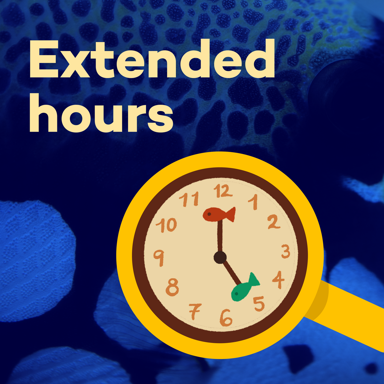 Look Closer Blog Square4