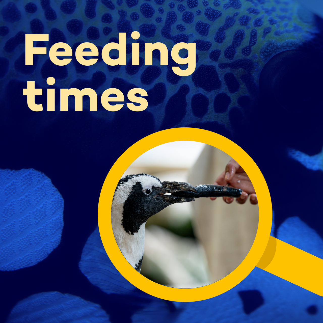 Look Closer Blog Square5