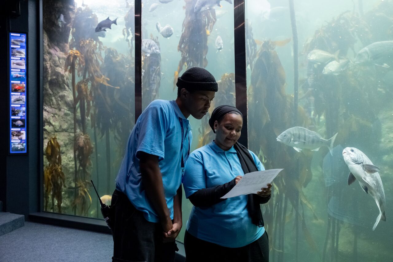 Thank you, Two Oceans Aquarium staff and volunteers, for years of amazing work