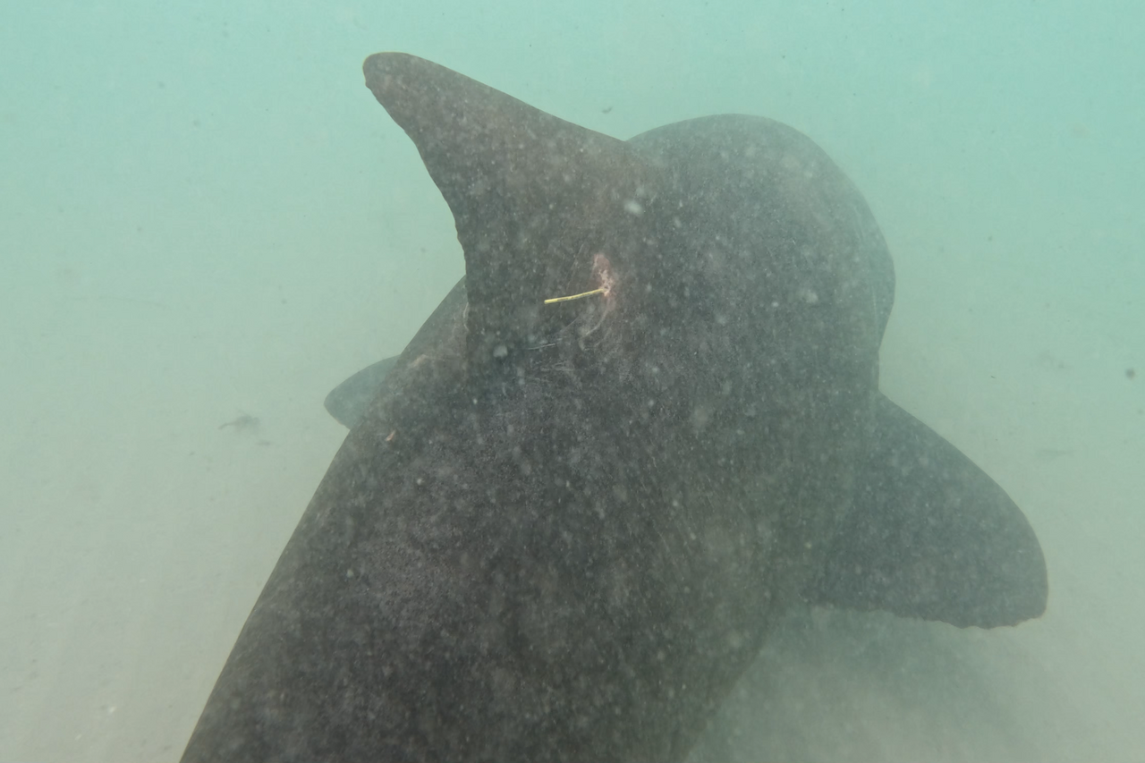 Screenshot 2026 03 19 164748