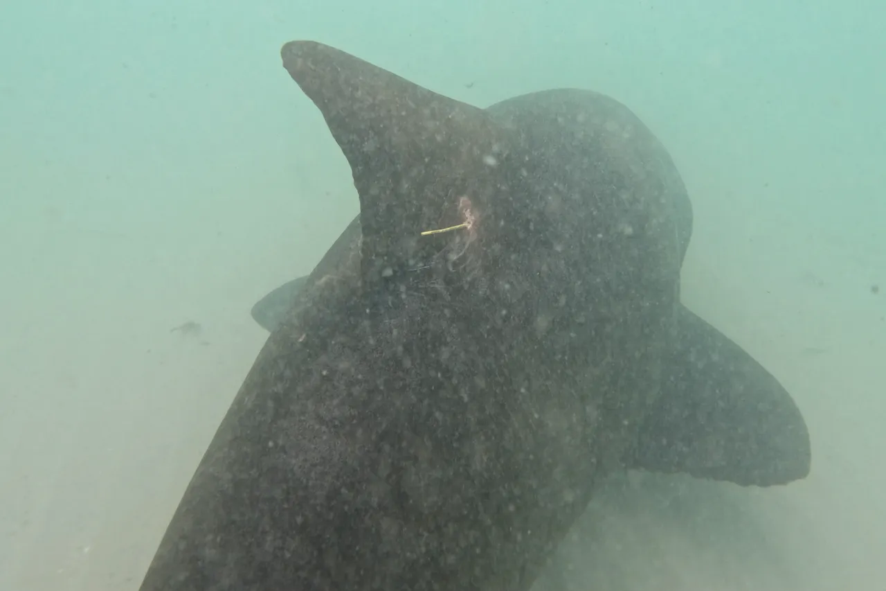 Screenshot 2026 03 19 164748