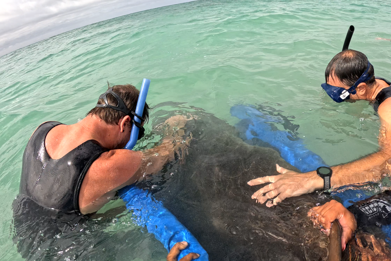 Screenshot 2026 03 19 165424