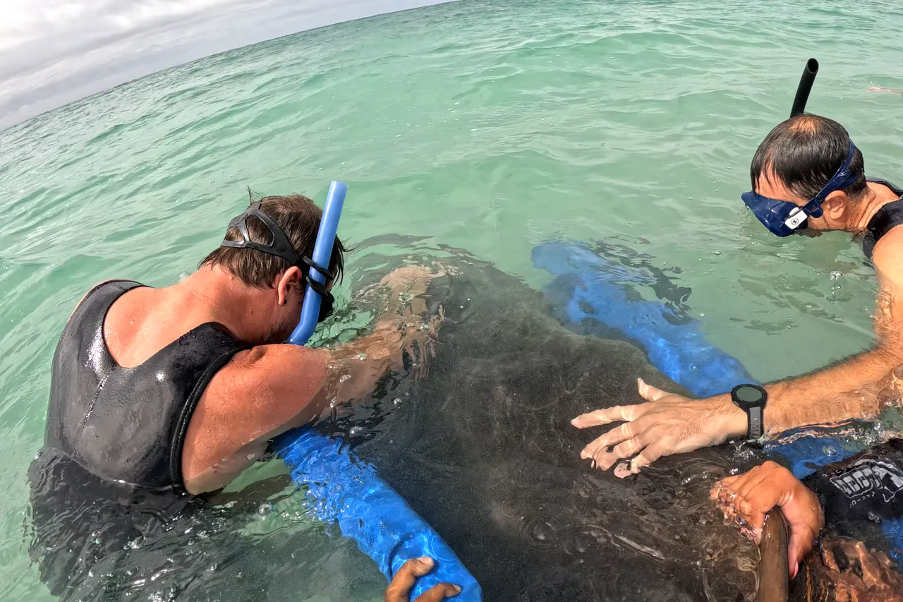 Screenshot 2026 03 19 165424