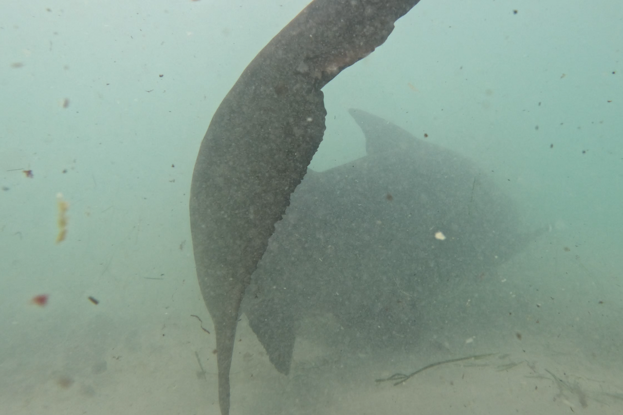 Screenshot 2026 03 19 164612