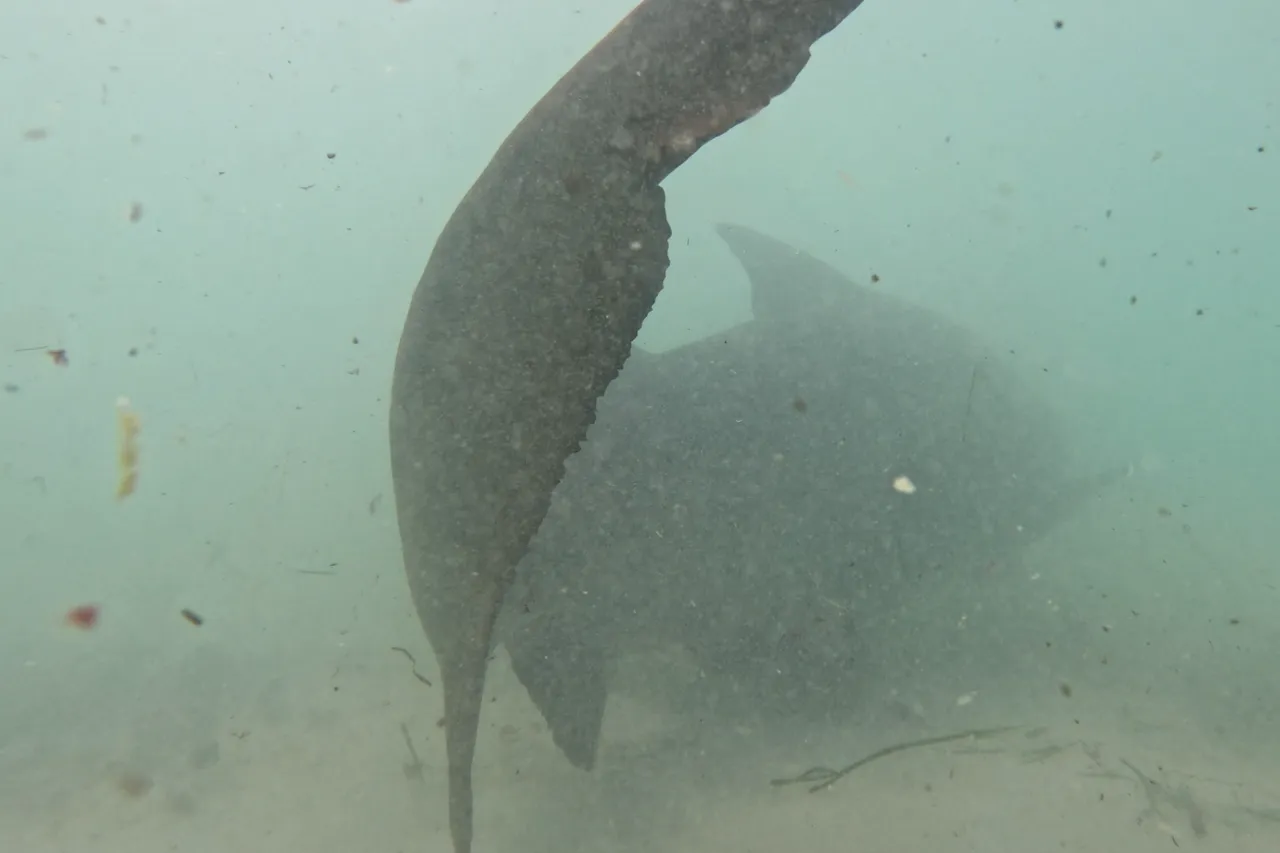 Screenshot 2026 03 19 164612