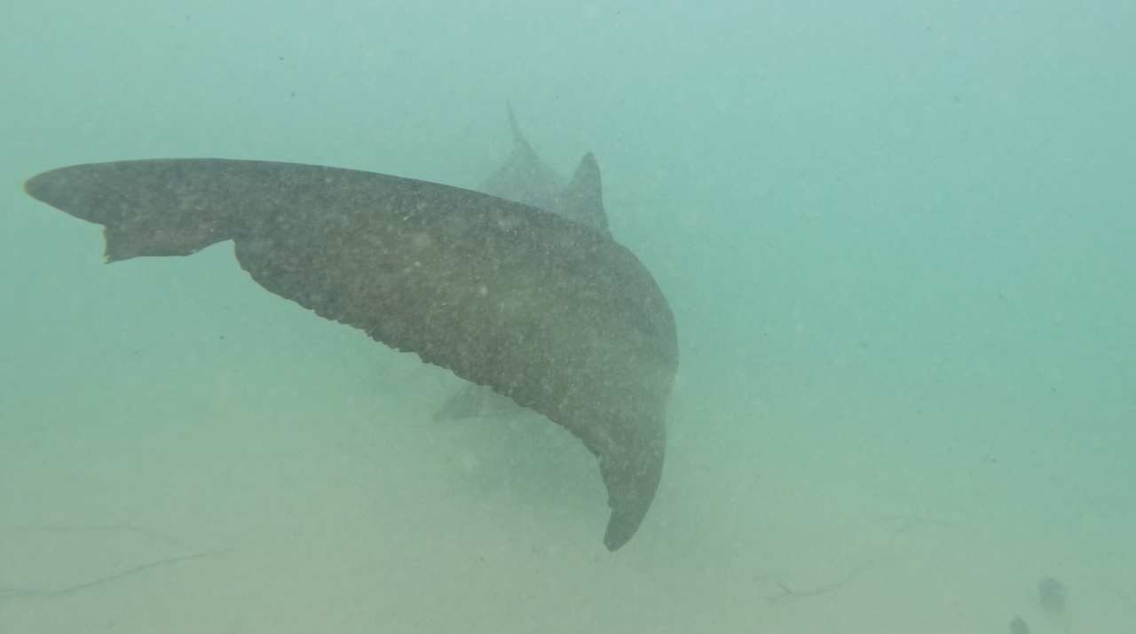 Screenshot 2026 03 19 164956