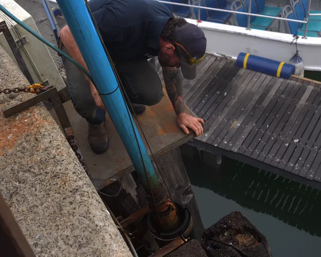 Where does the Aquarium's water come from?