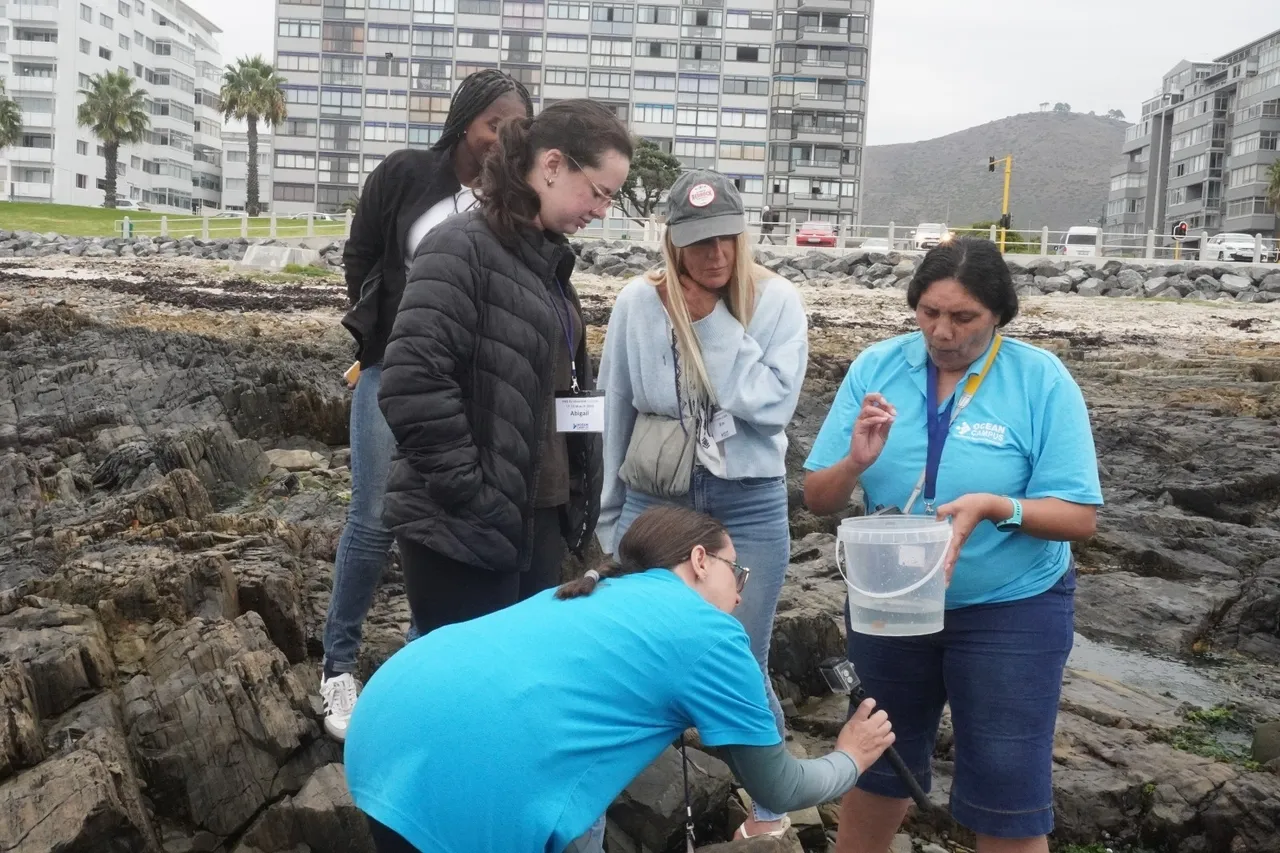 Whats App Image 2026 03 23 at 13 45 26 1