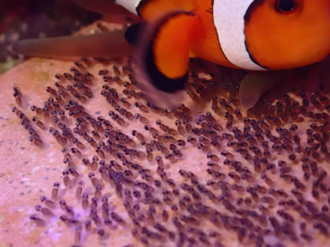 Whats App Image 2026 02 23 at 09 47 59