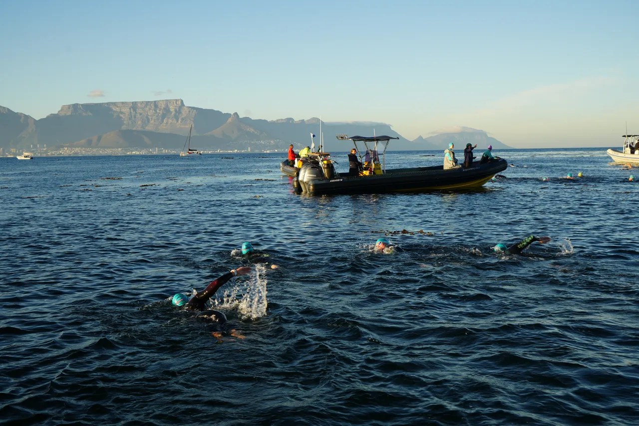 Swimmers complete 11km ocean crossing to help endangered turtles – and their journey isn’t over
