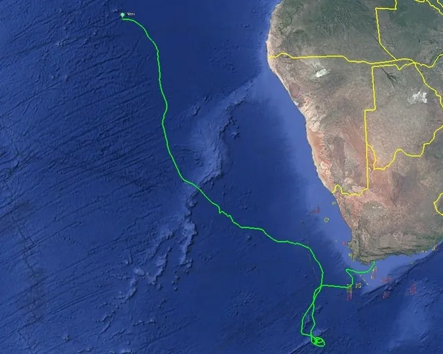 Tracking our Turtles: Nori visits the waters near St Helena island