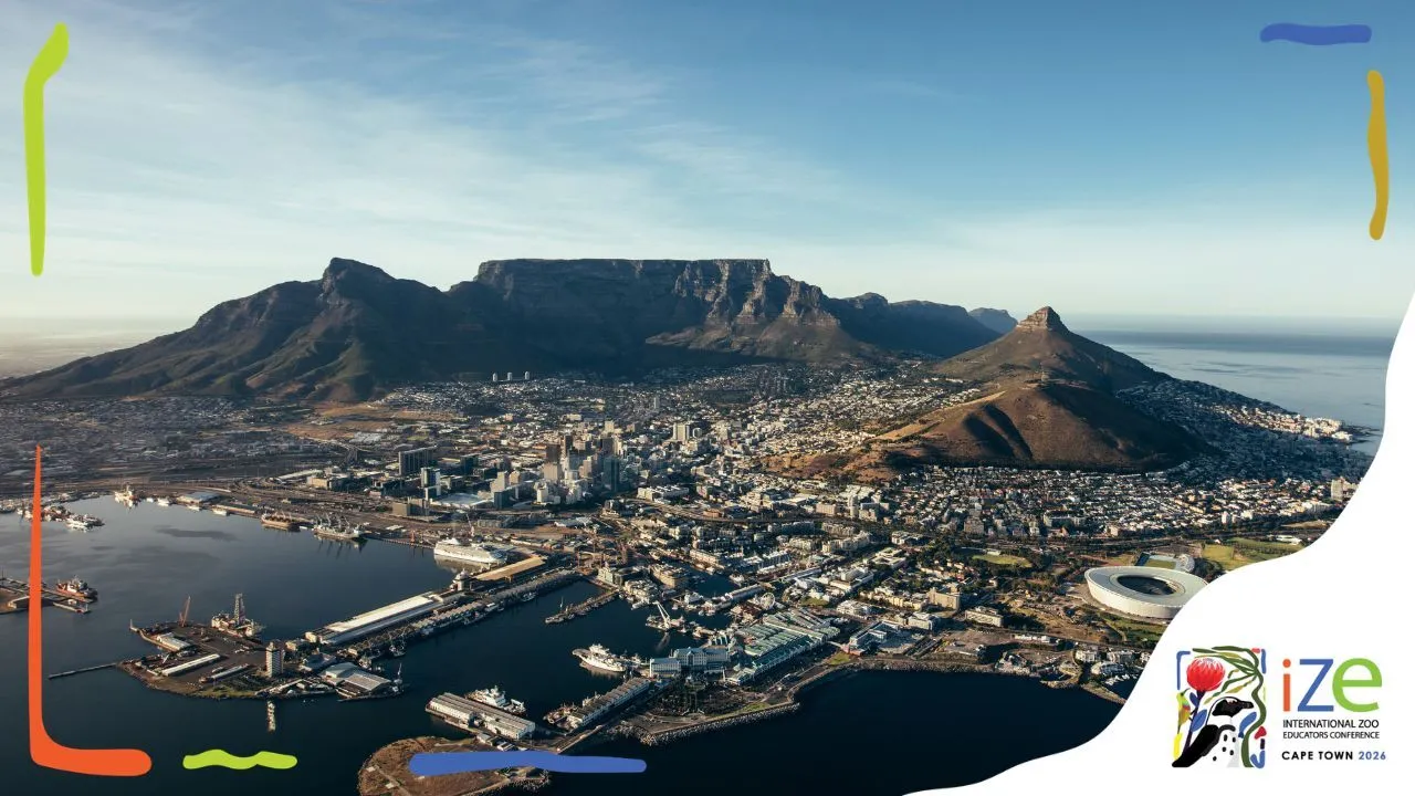 The Two Oceans Aquarium is hosting this year’s International Zoo Educators’ Conference: Here’s what you need to know
