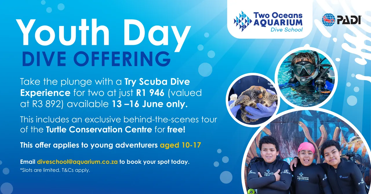 Dive School Youth Day Offering Social Banner copy 300x