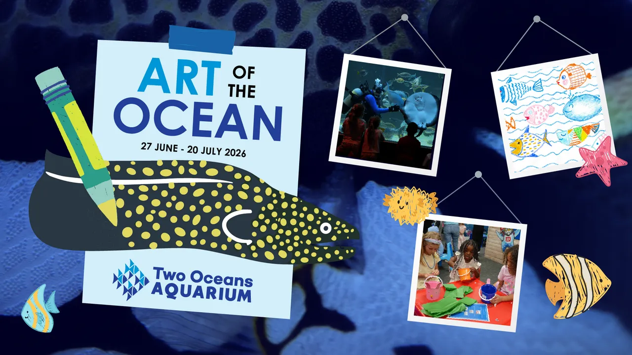Be inspired by the Art of the Ocean this school holiday at the Two Oceans Aquarium