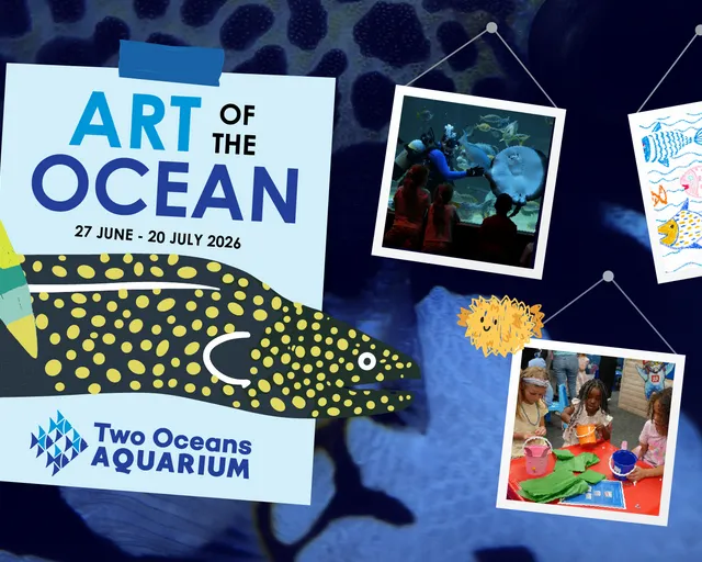 Be inspired by the Art of the Ocean this school holiday at the Two Oceans Aquarium