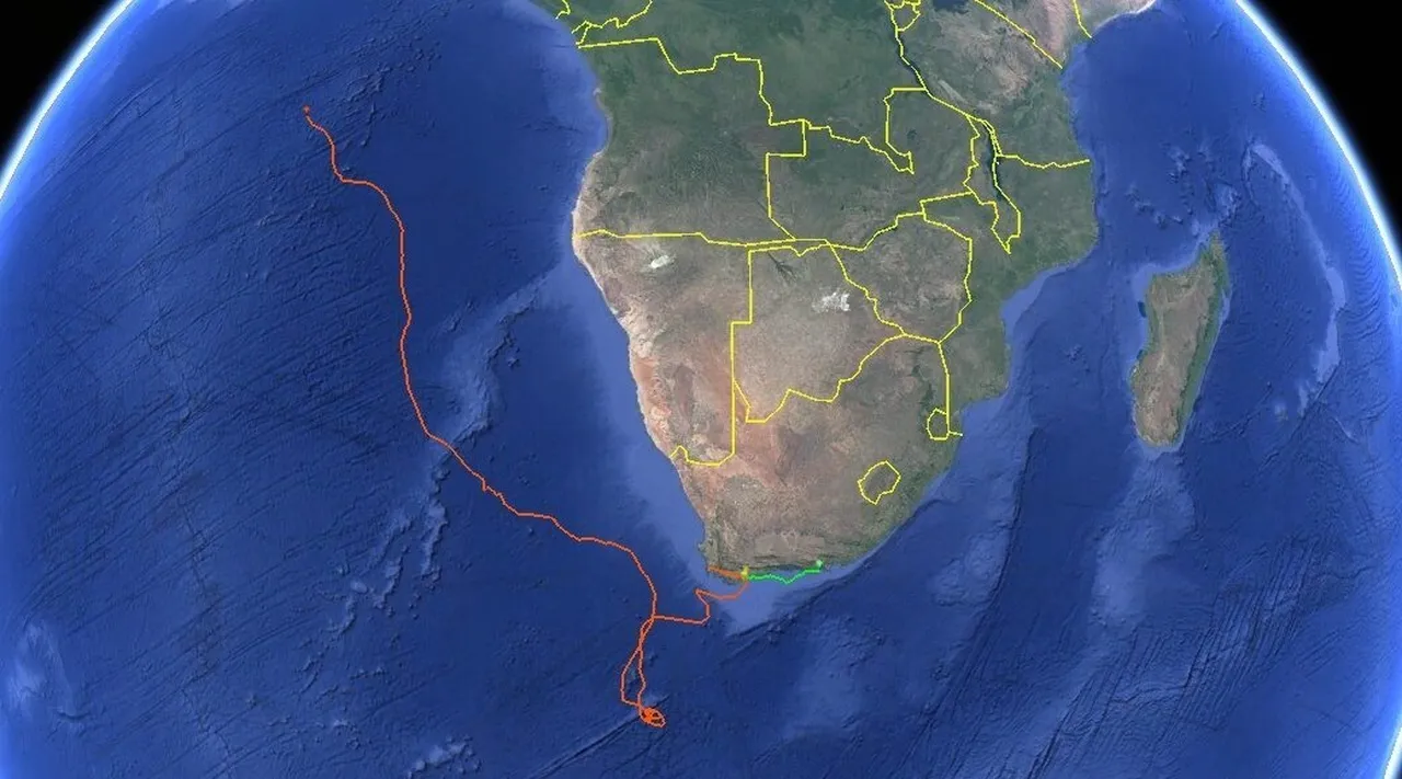 Tracking our Turtles: Kai and Nori are making missions