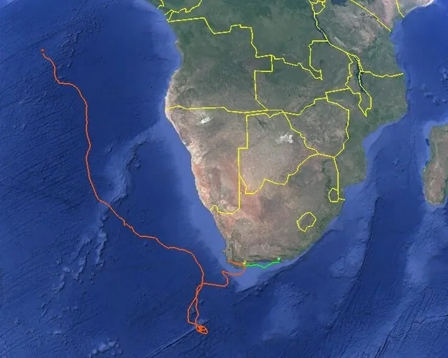 Tracking our Turtles: Kai and Nori are making missions