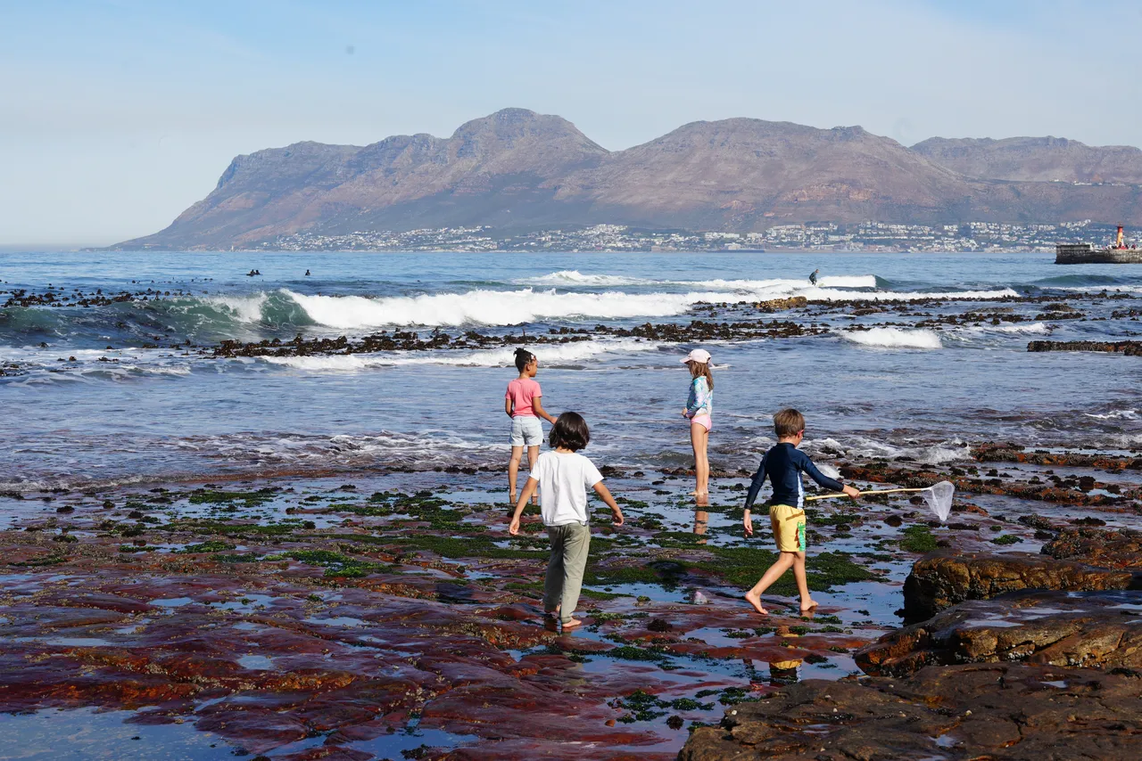 World Ocean Day 2026: How the Two Oceans Aquarium celebrated ocean action