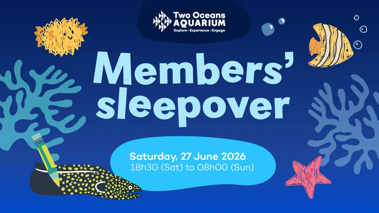 Members-only: Join our Art of the Ocean family sleepover!