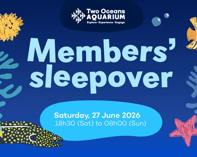 Members-only: Join our Art of the Ocean family sleepover!