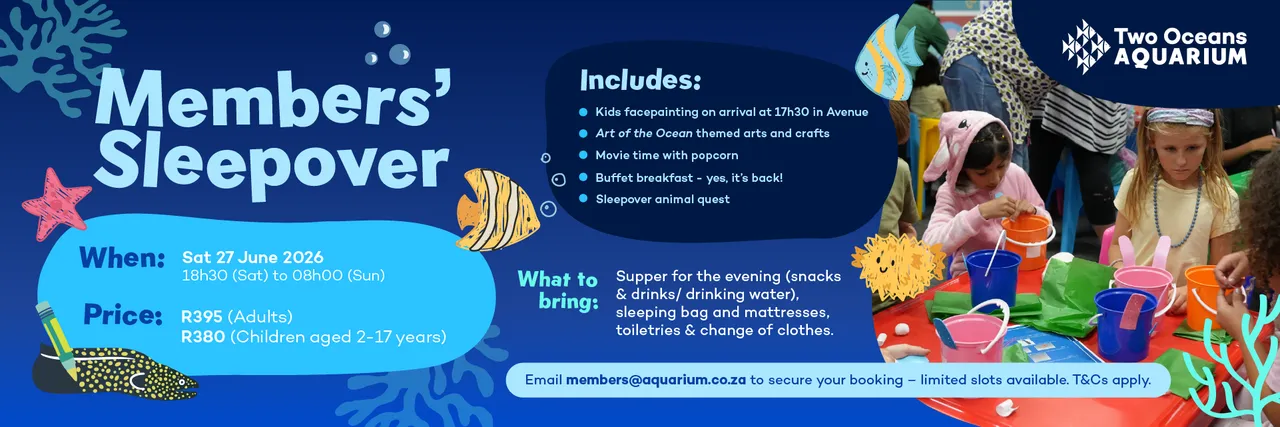 Social Banner Artof The Ocean M Sleepover