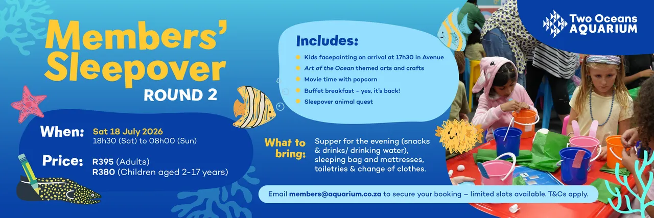 Social Banner Artof The Ocean M Sleepover copy