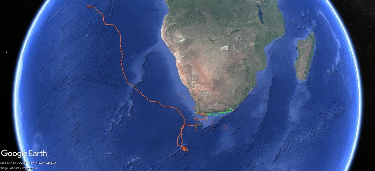 Tracking our turtles: Snacks and stopovers for Kai and Nori