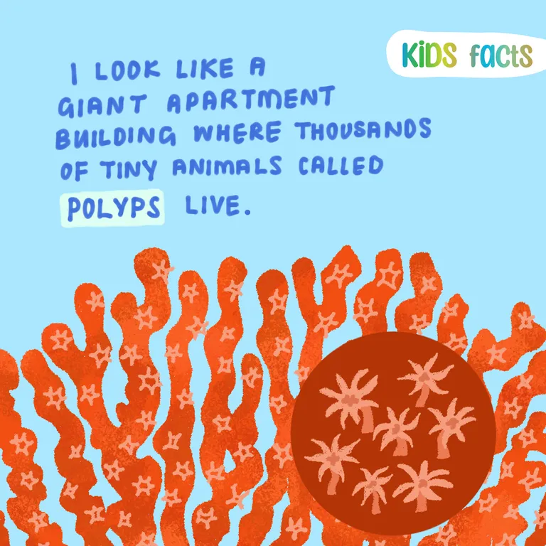 Coral reefs